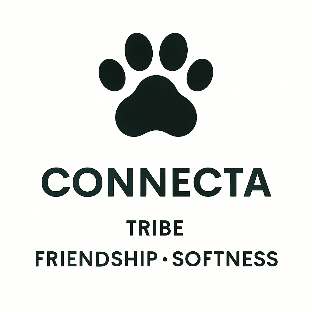 Connecta